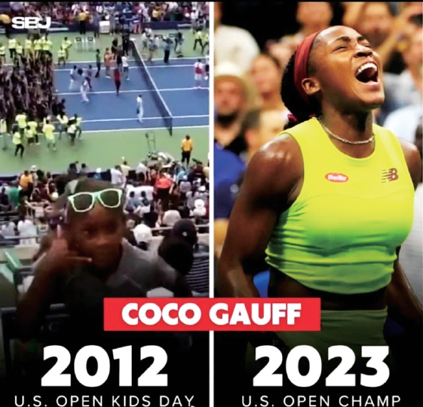 球场的球迷 球场的球迷