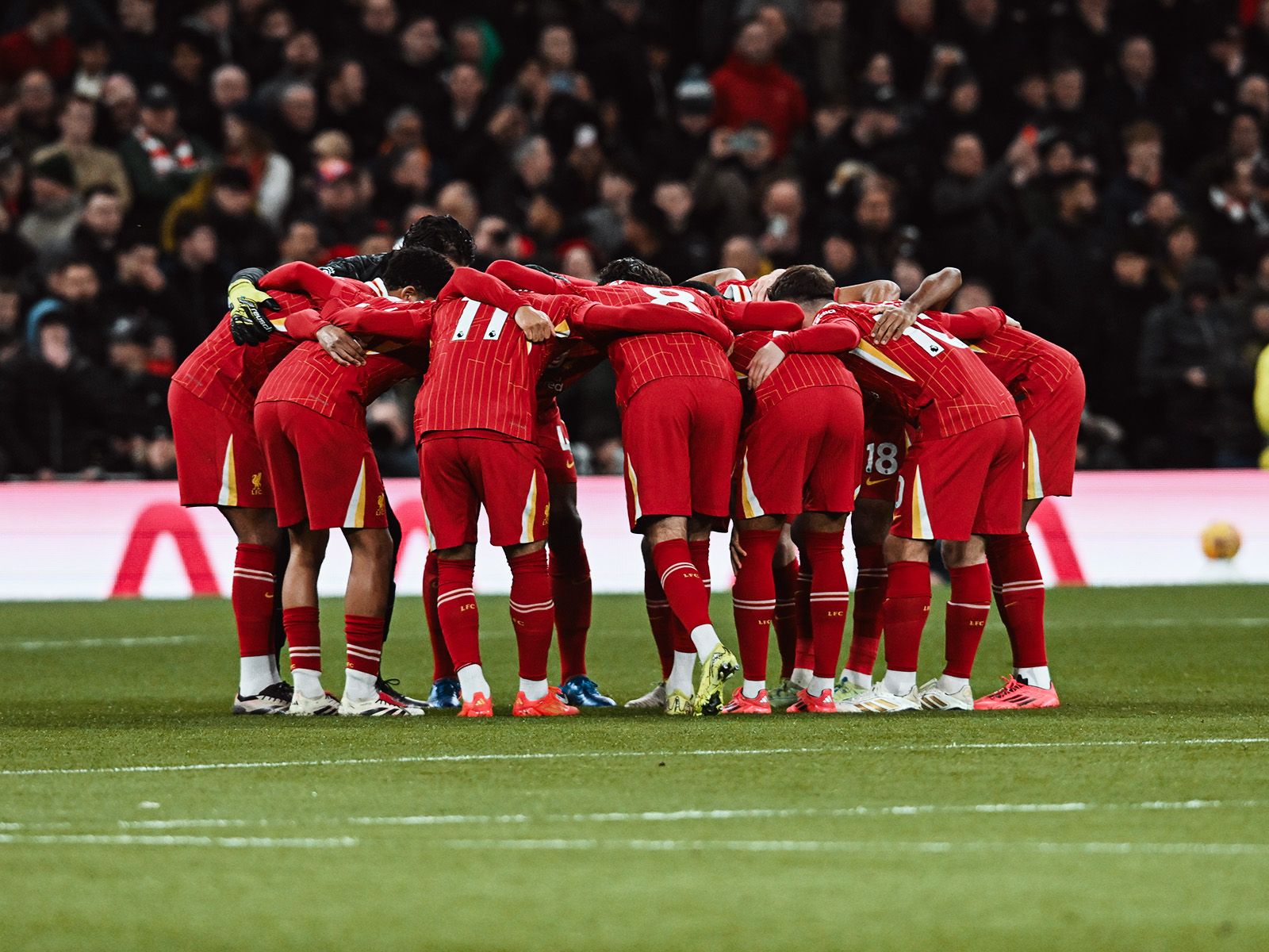 仅拓展了教 仅拓展了教